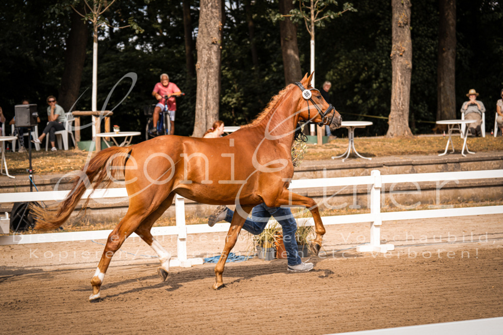 FrER00018 | Leoni Ertmer Photography - Realisiert mit Pictrs.com