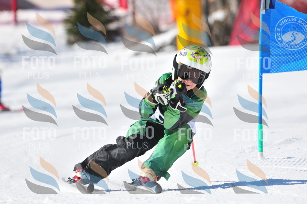 C3193 | holidayphoto