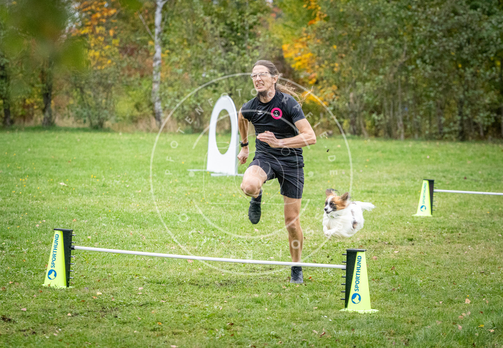 Pfotenfotografie_DV3A1318 | Hundefotografie, Tierfotograf, Pfotenfotografie, Fotoshooting Hund, Hunde Portrait, Hundesport, Hundeportraits, Heideshooting, Hunde, Sportfotograf, Hundefotograf, Turnierhundsport, THS,  - Realisiert mit Pictrs.com
