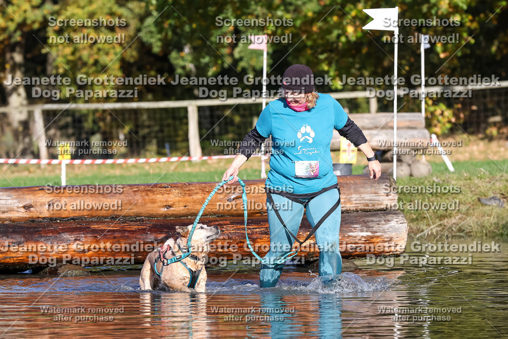 Dog Paparazzi - Strongdog 10-25-8730 | Dog Paparazzi Jeanette Grottendiek Fotografie & Videografie - Realisiert mit Pictrs.com