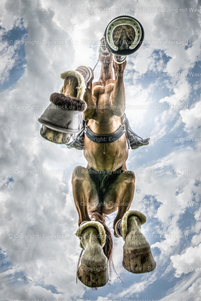 20180607_Fliegendes_Pferd_0001 | equistock