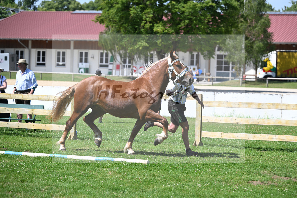 Kat-Nr. 28 Phillis v. Sir_Kotz_18250518 | hf-fotografie - Realizzato con Pictrs.com