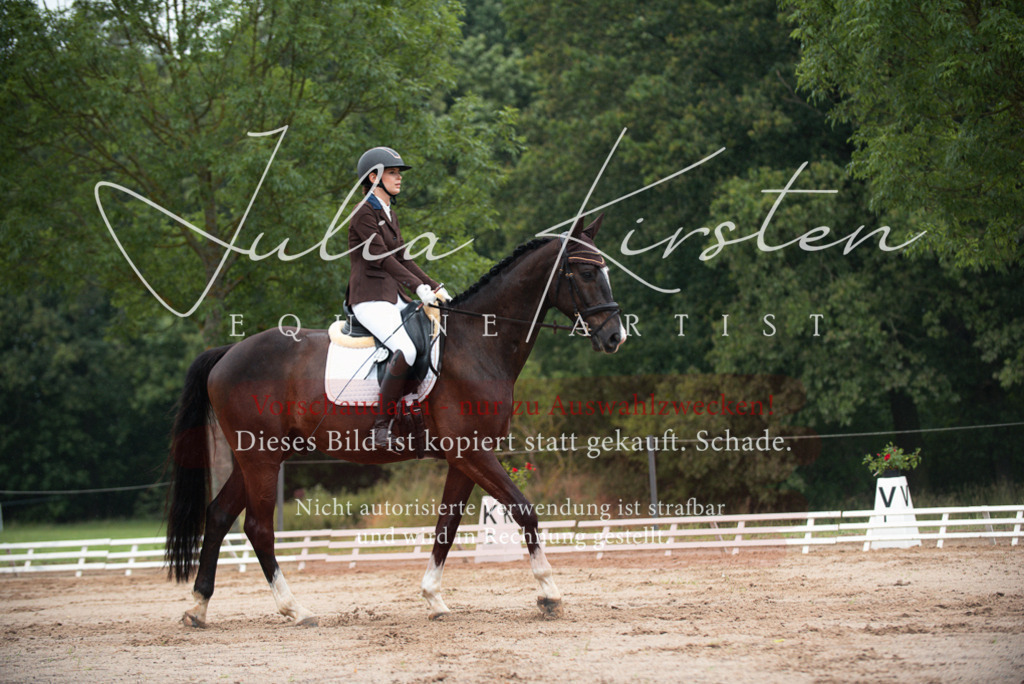 DSC_9731 | Pferde- und Turnierfotografie in Westsachsen. Pferdeportraits, Auftragszeichnungen und intuitive Kunst.