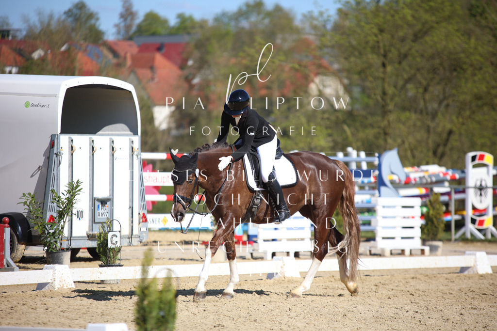 IMGT8885 | pl-fotografie