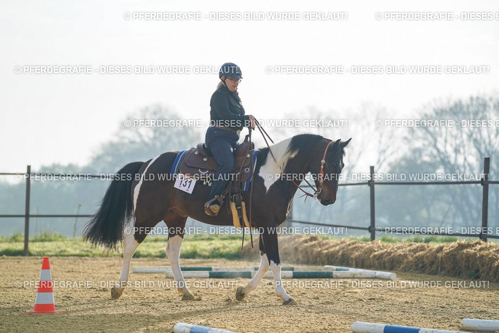 DSC09844 | Pferdegrafie