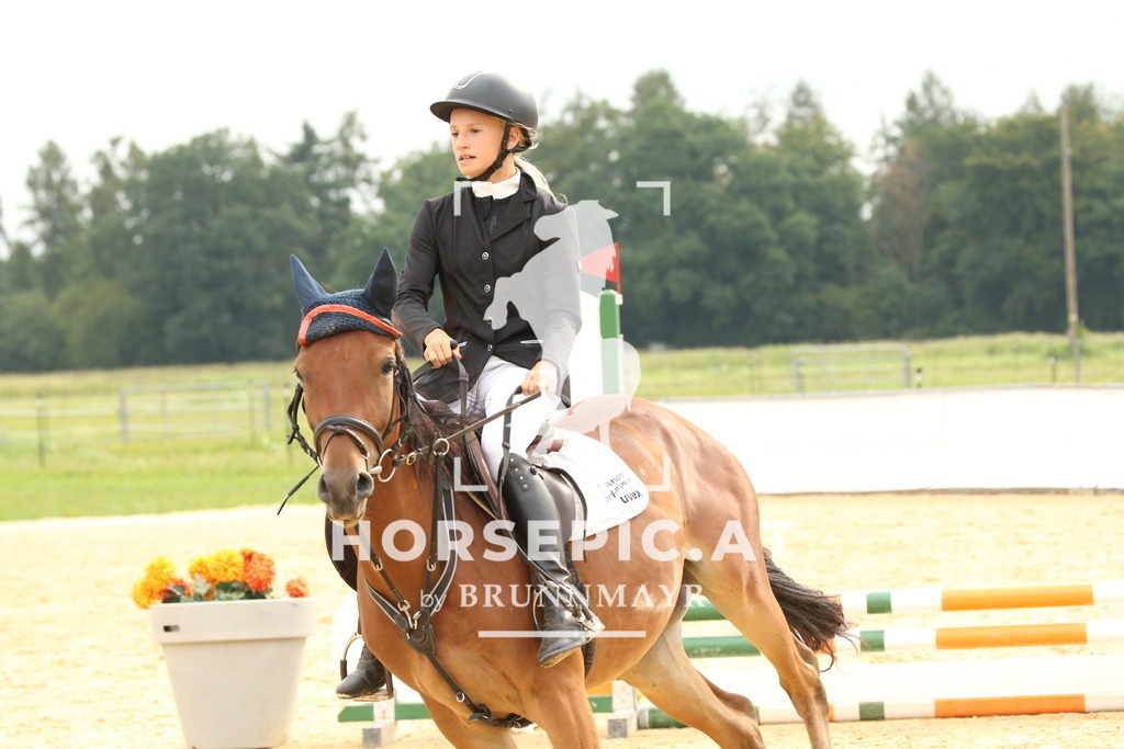 DL2Q3257 | Willkommen bei Brunnmayr - Design & Fotografie – Ihrem Spezialisten für Reitturniere und Pferdeveranstaltungen in Oberösterreich, Salzburg und Bayern! Seit über 17 Jahren sind wir leidenschaftlich dabei.