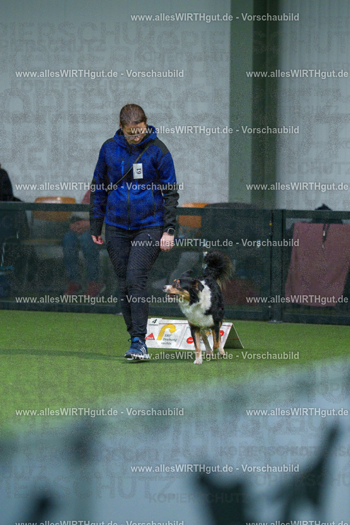 7R503121 | Professionelle Tierfotografie in Mönchengladbach von Daniel Wirth (allesWIRTHgut). Liebevolle & natürliche Bilder von Hunden & Katzen für unvergessliche Erinnerungen.