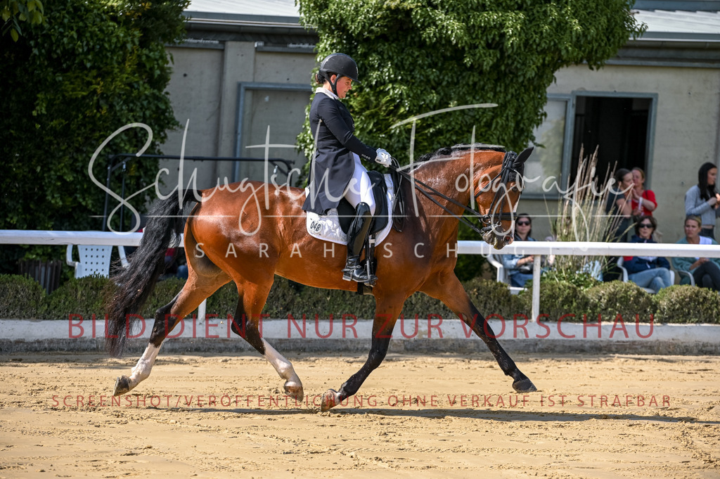 Schugtsche-Aluta25-58. Dressurprf.S1Kand.St.GeorgSpecial-248 | Schugtsche Fotografie - Realisiert mit Pictrs.com