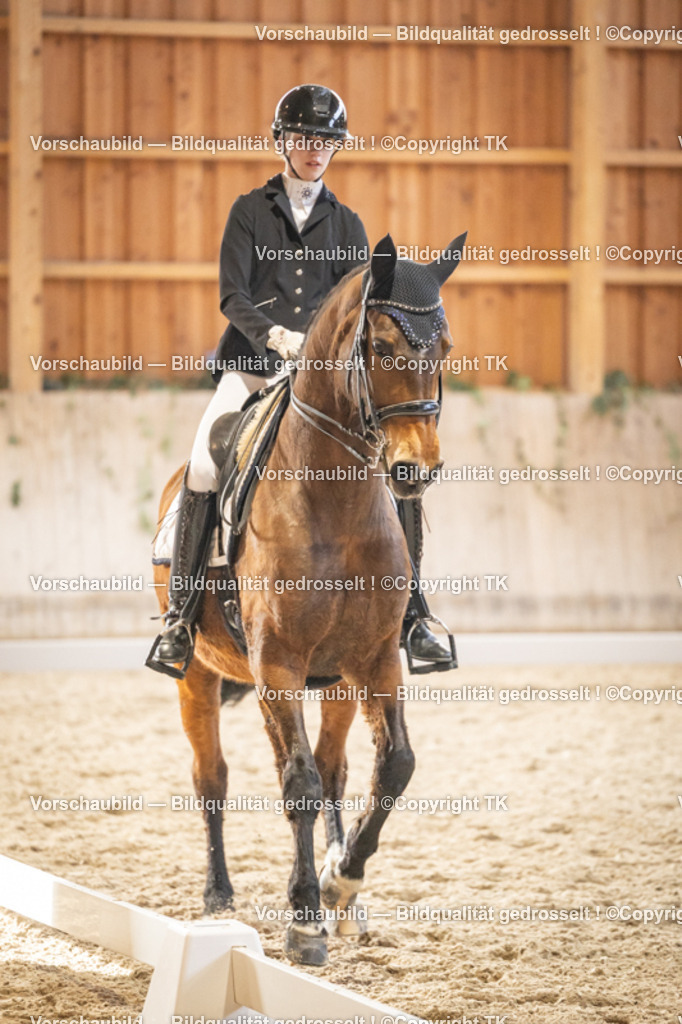 _D5A9608 | Emotionale Pferde- & People-Fotografie rund um Heidelberg, Leimen & Umgebung. Natürliche Fotos von Pferd, Mensch & Familie. Jetzt Termin sichern!