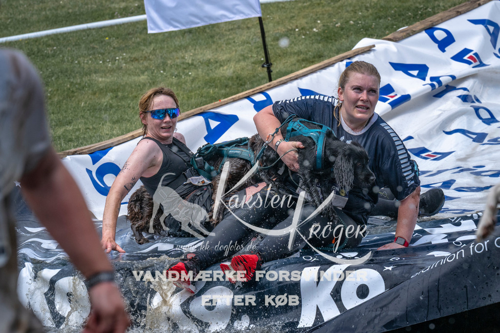 1125_ZZ92016 | kk-dogfotos