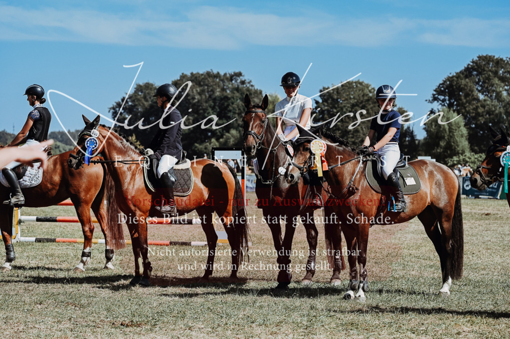 DSC_0128 | Pferde- und Turnierfotografie in Westsachsen. Pferdeportraits, Auftragszeichnungen und intuitive Kunst.
