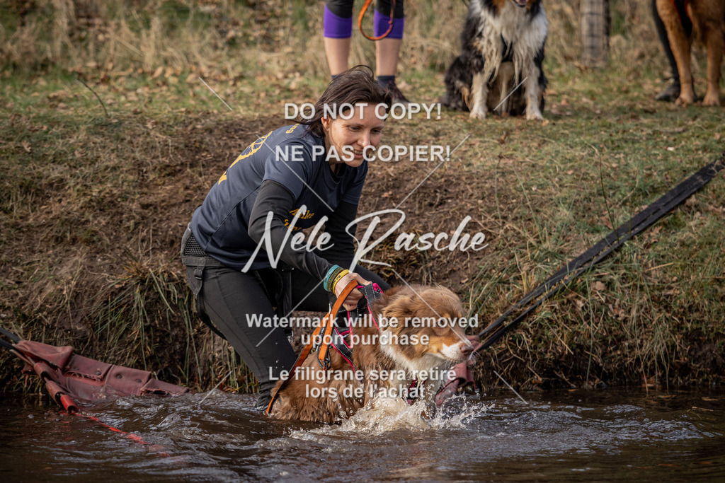 nelerasche_FS1430-1500_325 | nelerasche