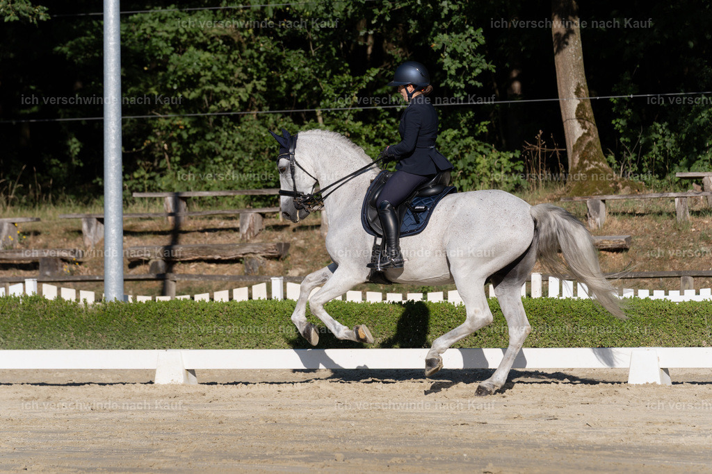 WM_DR_143_sinafilmart_IN04614 | working equitationturnier fotograf videograf stoibphotography marixx film working equitation deutschland reitsport turnierfotografie eventfotografie equestrian events
