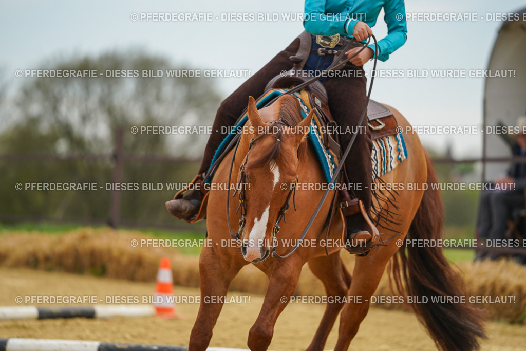 DSC03030 | Pferdegrafie