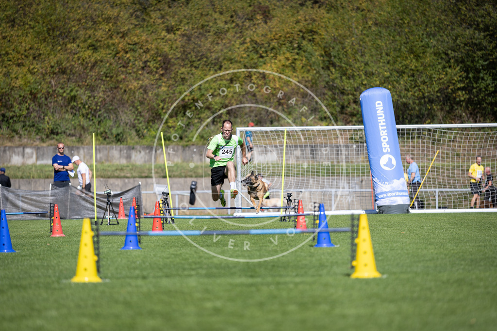 Pfotenfotografie_DV3A6015 | Hundefotografie, Tierfotograf, Pfotenfotografie, Fotoshooting Hund, Hunde Portrait, Hundesport, Hundeportraits, Heideshooting, Hunde, Sportfotograf, Hundefotograf, Turnierhundsport, THS,  - Realisiert mit Pictrs.com