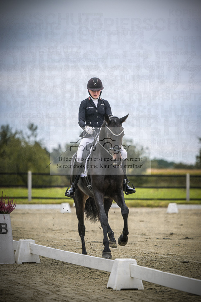 DOS_0479 | Entdecke hochwertige Reitturnierfotos von Foto Oger. Professionell, emotional und authentisch – jetzt Lieblingsmomente im Shop bestellen.Deutschlandweite Turnierfotografie. - Realisiert mit Pictrs.com