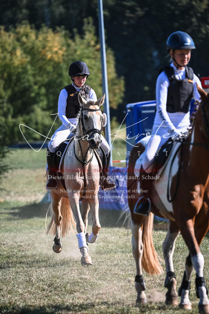 DSC_7052 | Pferde- und Turnierfotografie in Westsachsen. Pferdeportraits, Auftragszeichnungen und intuitive Kunst.
