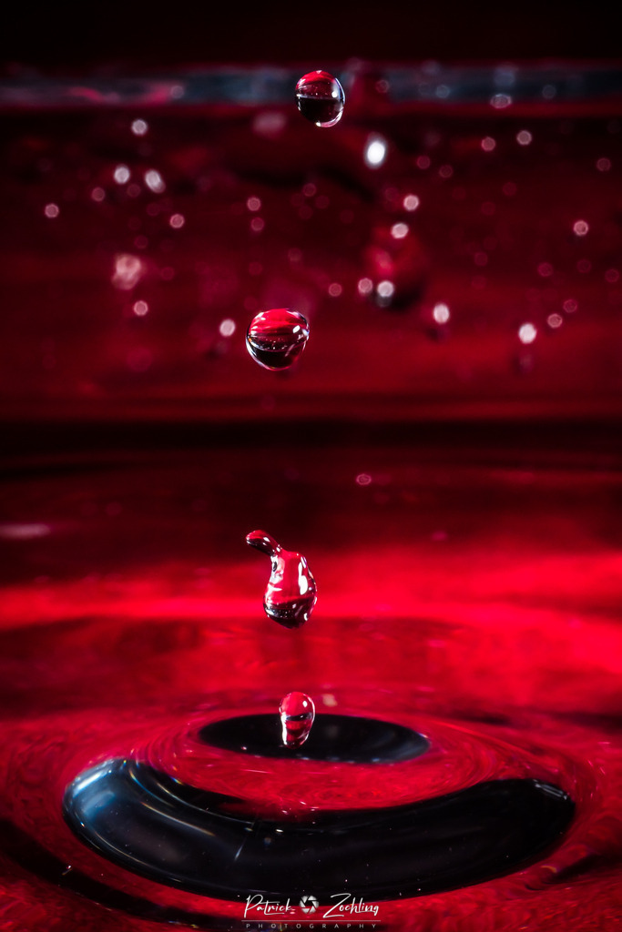 Drops-of-Posion-Zöchling (8 von 11) | Patrick Zöchling - Realisiert mit Pictrs.com