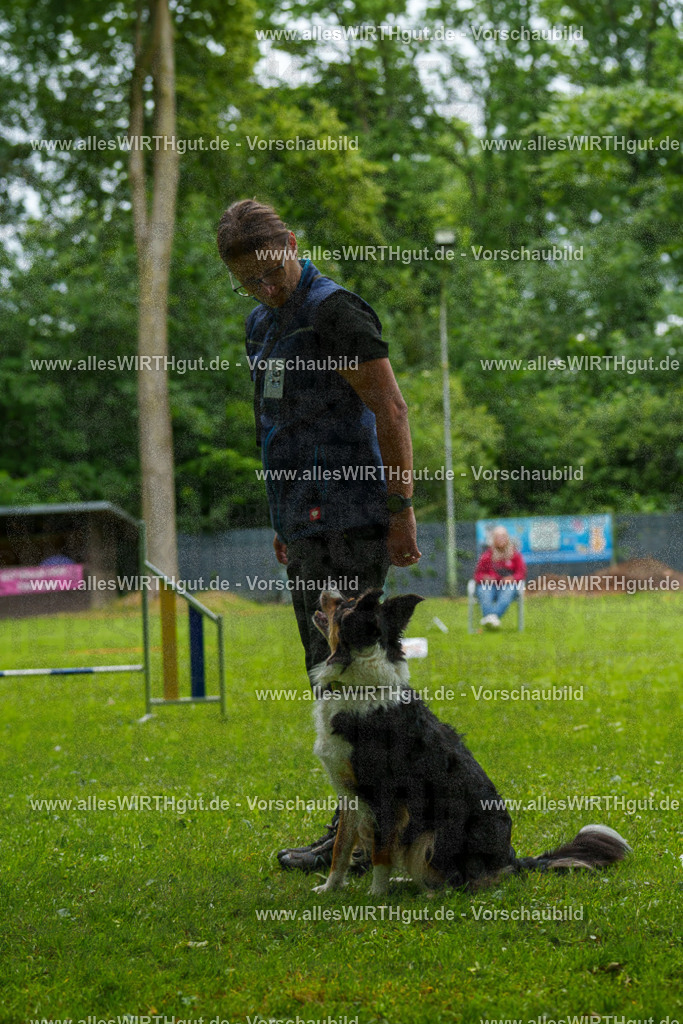 @allesWIRTHgut_Tierfotografie - www.allesWIRTHgut.de - 091810-7R506899 | Professionelle Tierfotografie in Mönchengladbach von Daniel Wirth (allesWIRTHgut). Liebevolle & natürliche Bilder von Hunden & Katzen für unvergessliche Erinnerungen.