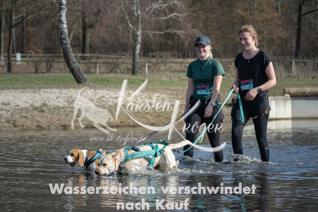 1341_ZZ97812 | kk-dogfotos