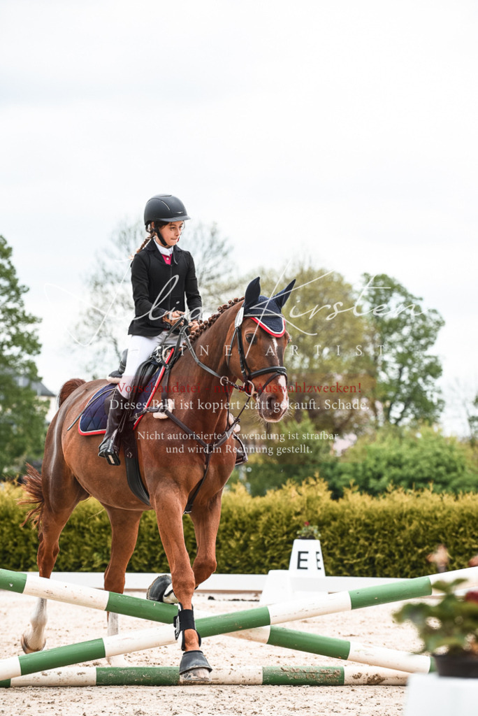 20230518_JK-Röhrsdorf-10-436 | Pferde- und Turnierfotografie in Westsachsen. Pferdeportraits, Auftragszeichnungen und intuitive Kunst.