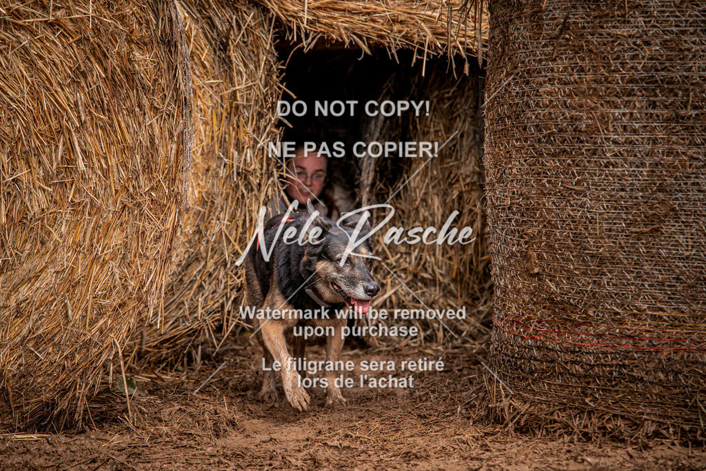 nelerasche_Hunsrück_So11-12_24 | nelerasche