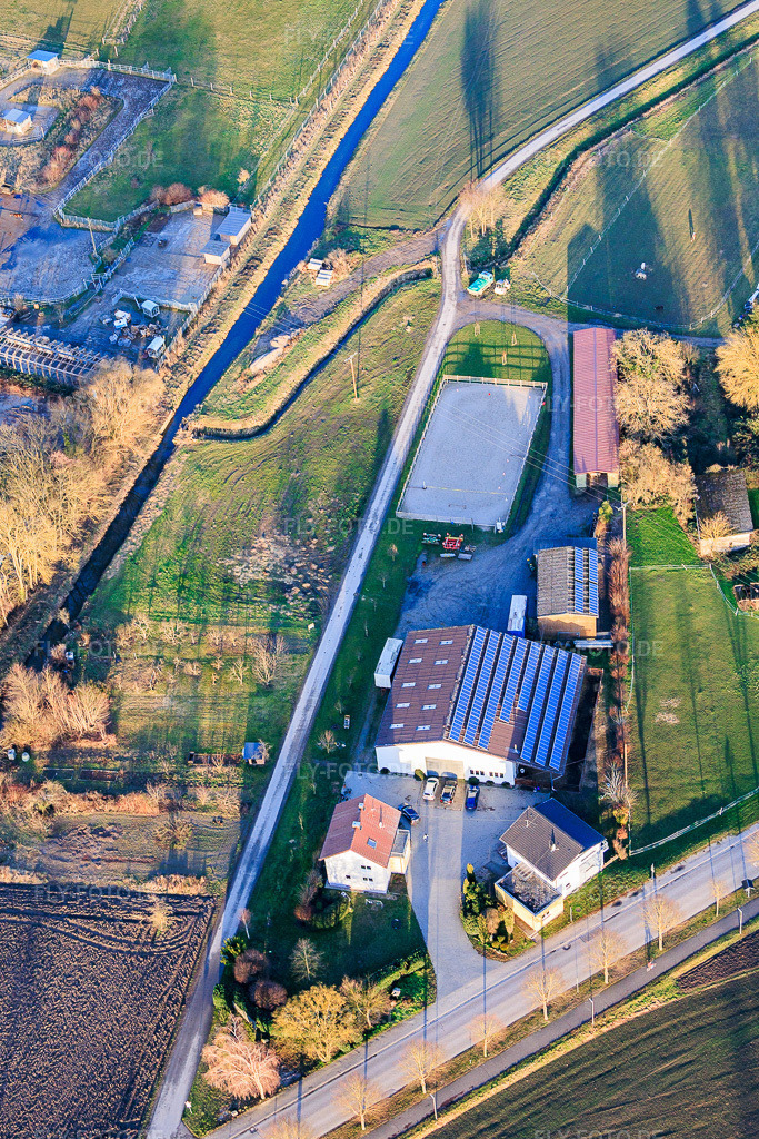 Luftbild: Erlenhof Neupotz in Neupotz im Bundesland Rheinland-Pfalz in Deutschland. – Foto: IMG_153101.jpg vom 07.02.2026 durch Werner Riehm/FLY-FOTO.de – Auflösung des Originals: 3166 x 4748 px – Erlenhofpferde Dressur- und Springpferde