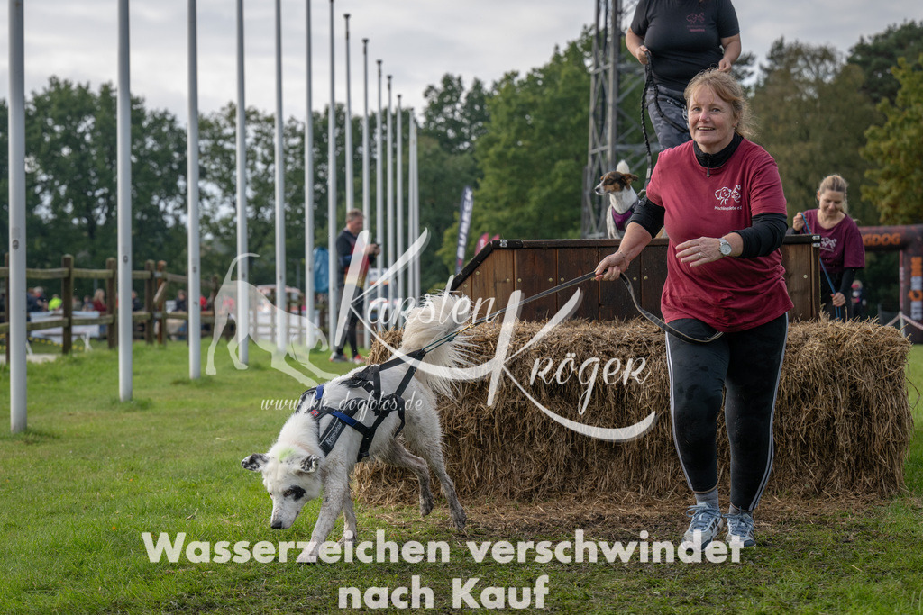 1504-94956 | kk-dogfotos