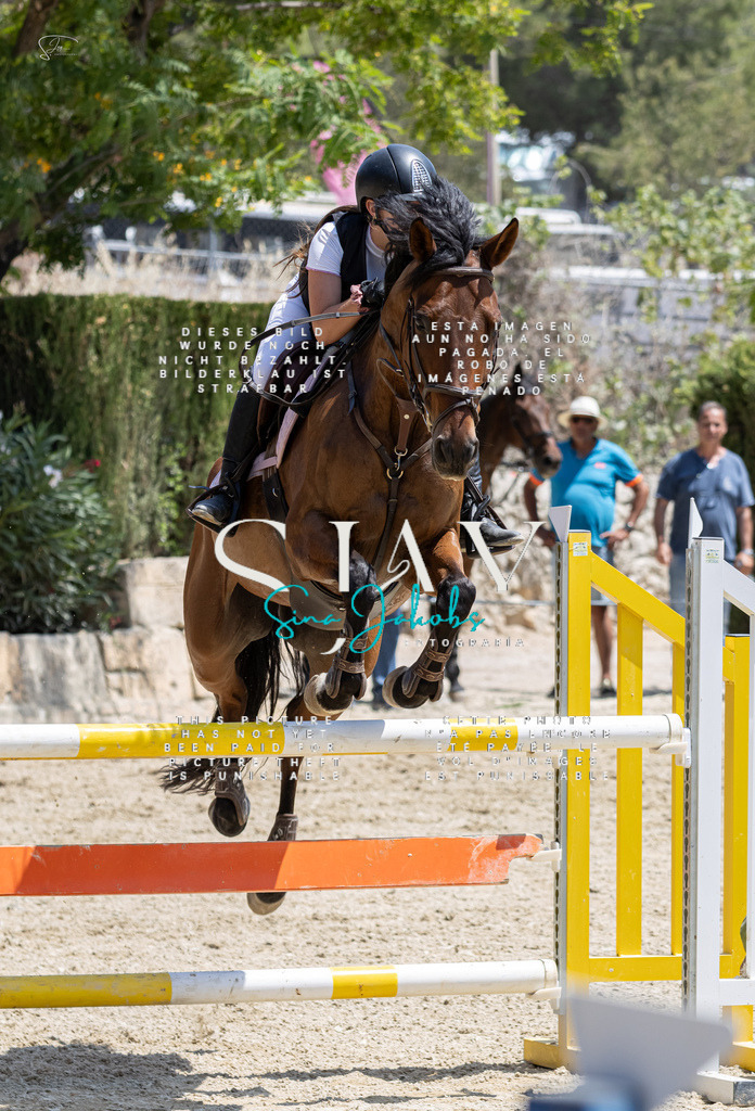 IMG_7850 | s-jay-photography - Realisiert mit Pictrs.com