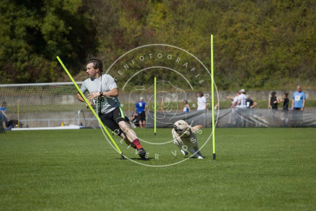 0L8A6416 | Hundefotografie, Tierfotograf, Pfotenfotografie, Fotoshooting Hund, Hunde Portrait, Hundesport, Hundeportraits, Heideshooting, Hunde, Sportfotograf, Hundefotograf, Turnierhundsport, THS,  - Realisiert mit Pictrs.com