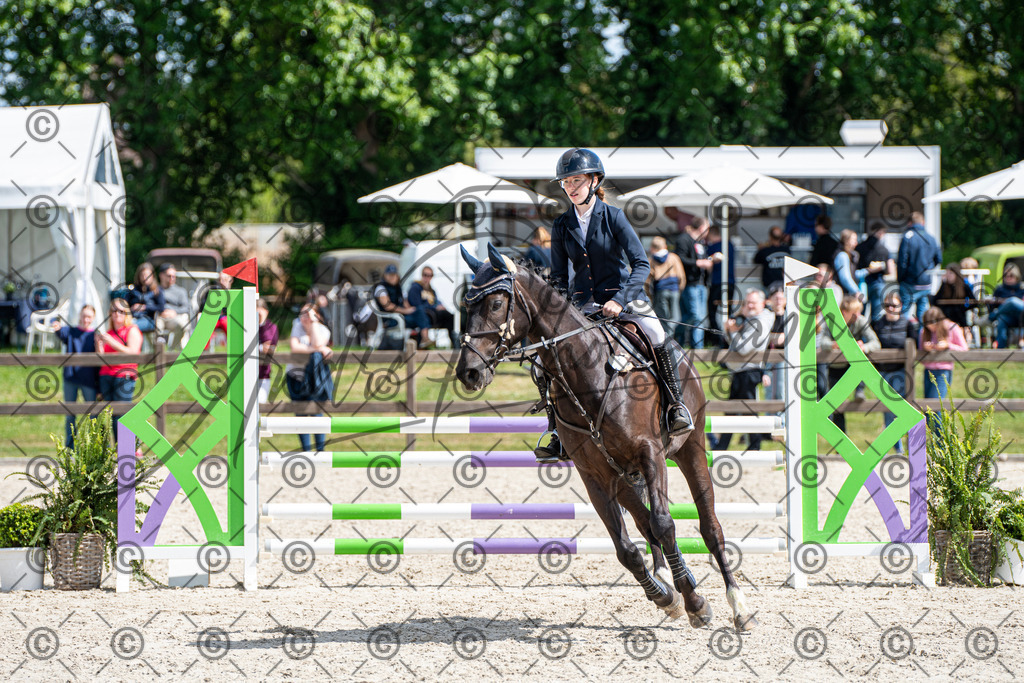 KPT_5267 | andre_photographic