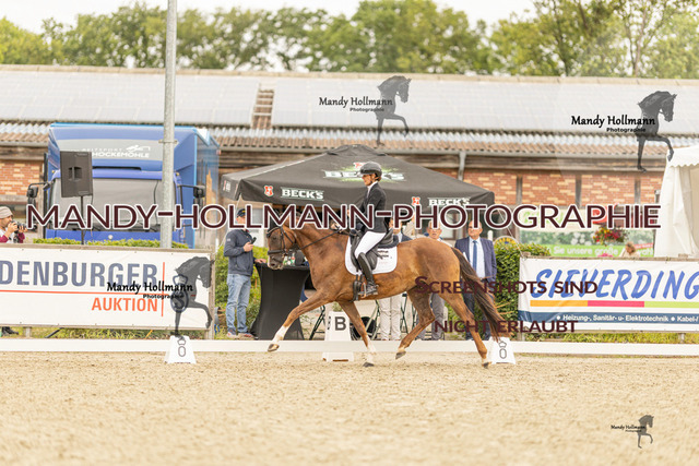 SW 4-313 | mandyhollmannphotographie