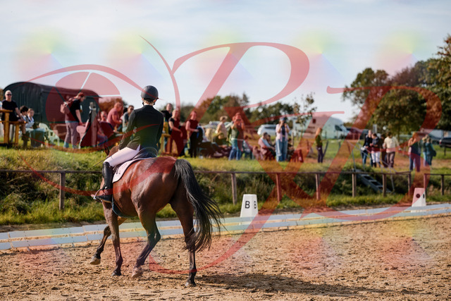 2026_10_03_Siefer-Hof_130837_Z63_70289284 | Professionelle Reitsport-, Turnier- und Eventfotografie von Robert Broda. Galerien mit ausgewählten und bearbeiteten Bildern direkt online ansehen und bestellen.