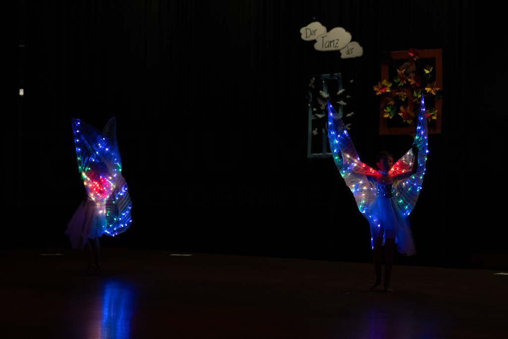 _DSC1849 | Tinu Müller Fotografie- Bildershop - Realisiert mit Pictrs.com