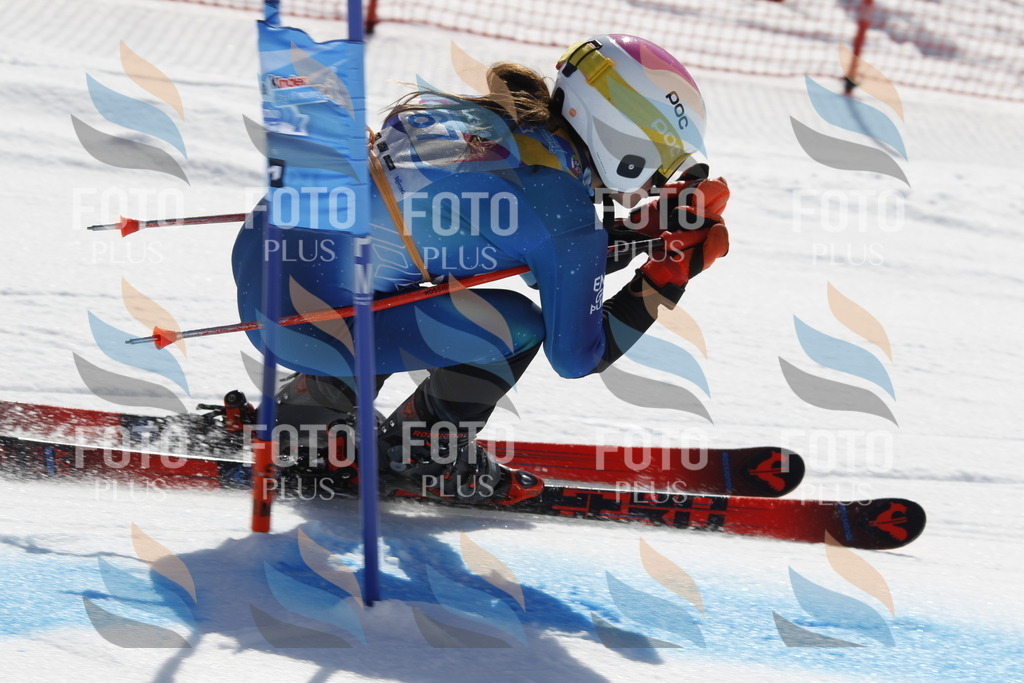 _U3G9764 | holidayphoto