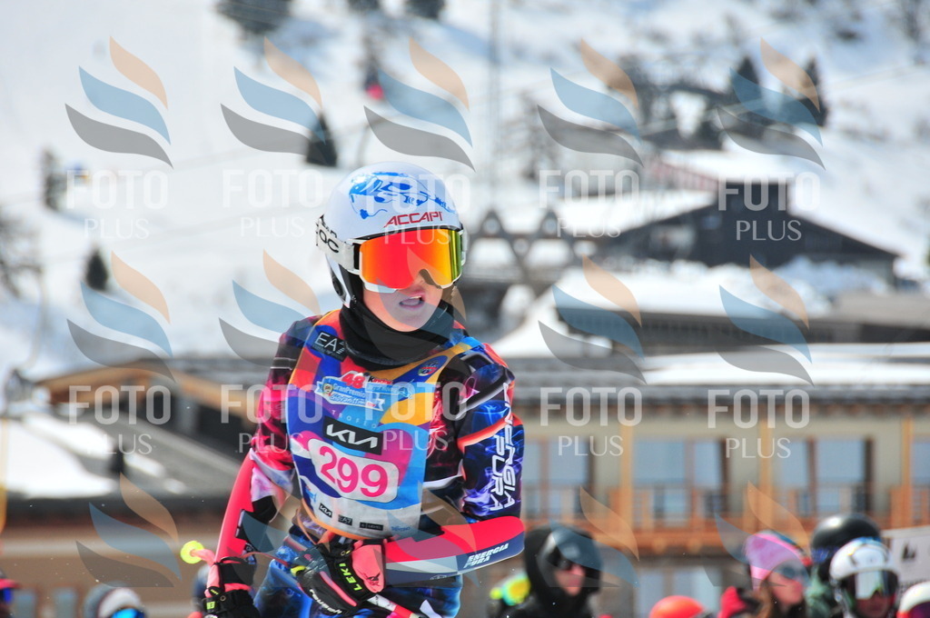 DSC_6550 | holidayphoto