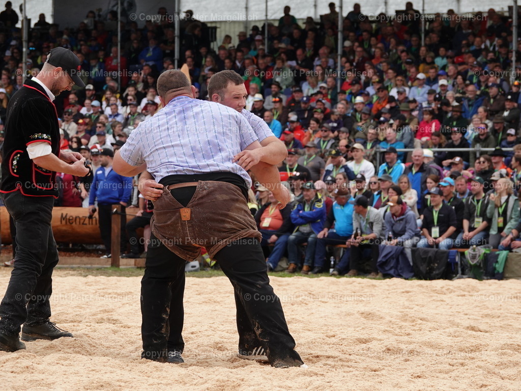 DSC08110 | Schwingen - Realisiert mit Pictrs.com
