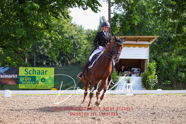 DKP41434 | Turnierfotos kaufen im Webshop von Daniel Kuhl Photography – entdecke professionelle Reitsportfotos aus Turnieren & Events. Hochwertige Turnierbilder online bestellen & sichern. Jetzt Fotos von Reitsportturnieren kaufen!