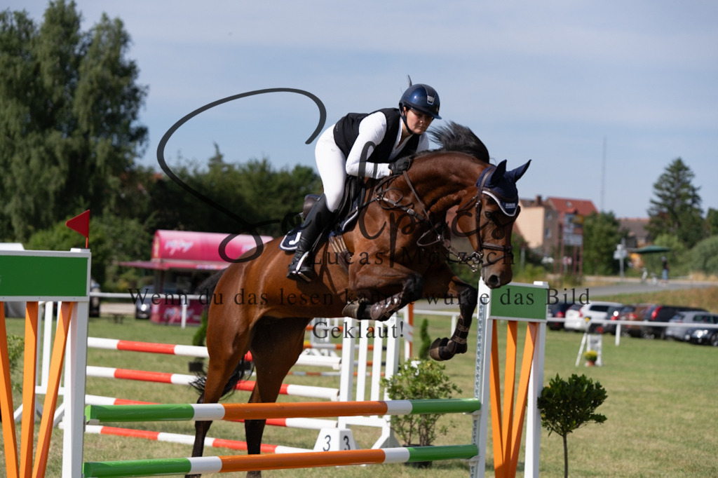 A7V01470 | Pferdefotograf