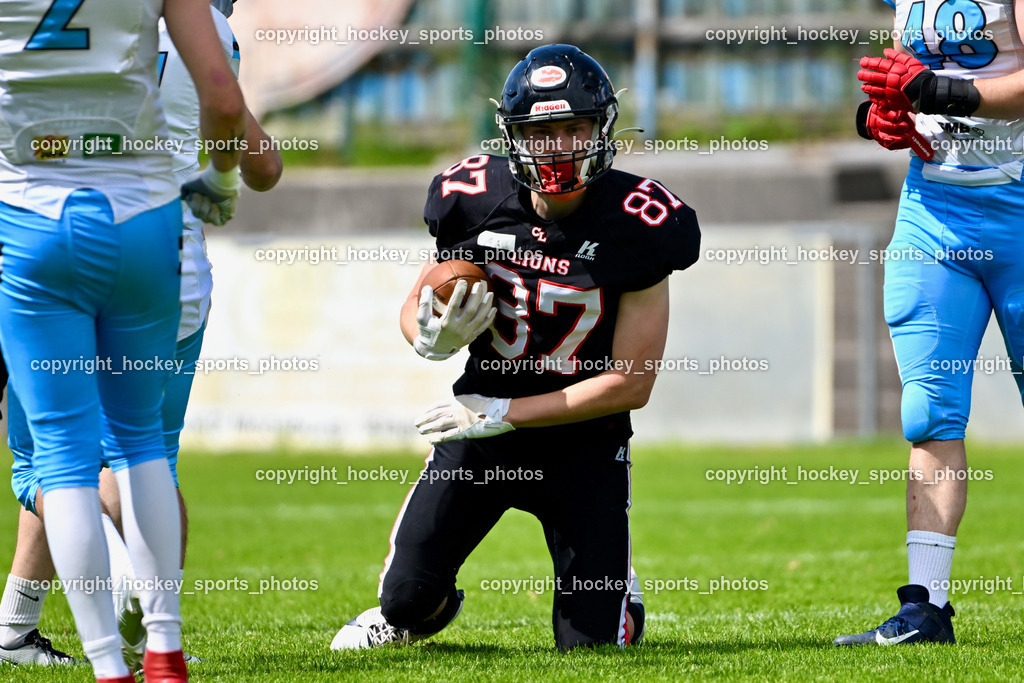 Carinthian Lions vs. Styrian Bears | Carinthian Lions vs. Styrian Bears, Carinthian Lions vs. Styrian Bears am 20.05.2024 in Klagenfurt (ASV Sportplatz), Austria, (Photo by Bernd Stefan)