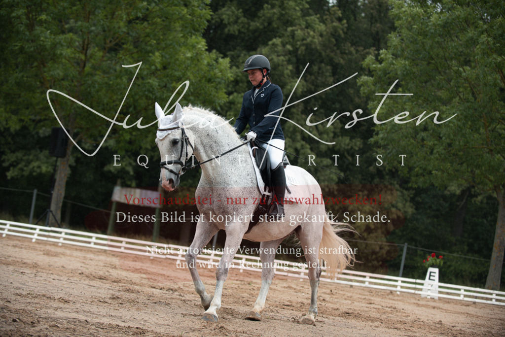 DSC_9680 | Pferde- und Turnierfotografie in Westsachsen. Pferdeportraits, Auftragszeichnungen und intuitive Kunst.