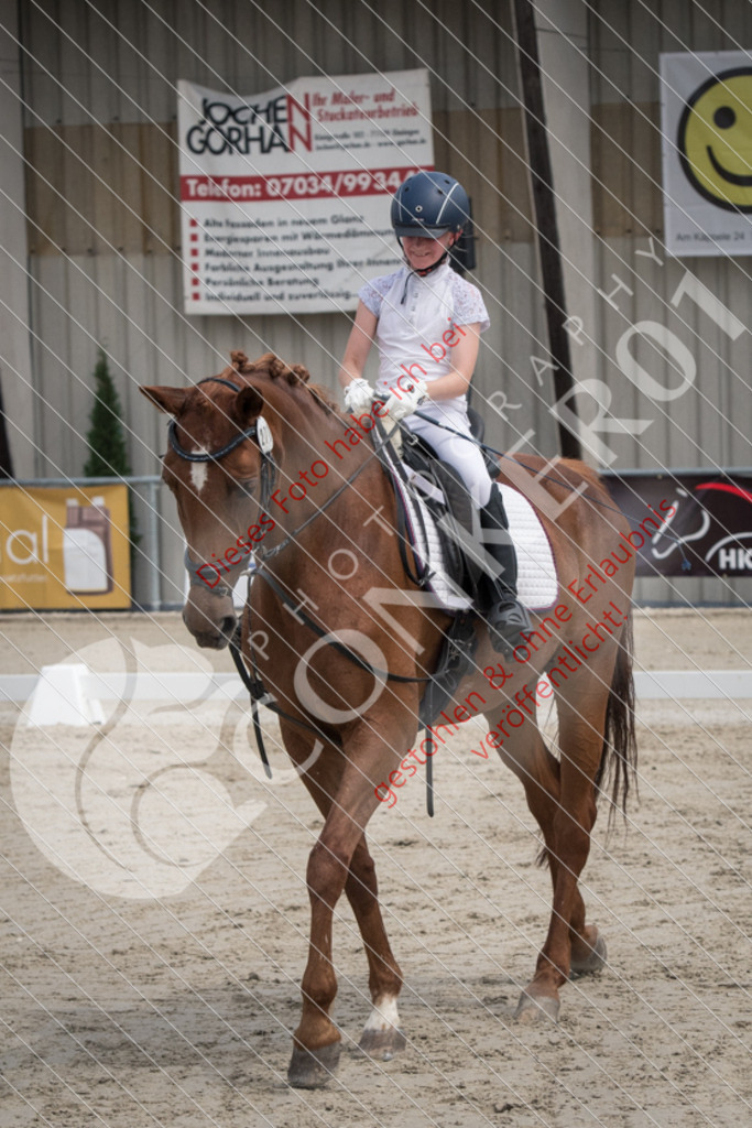 ND5_7971 | Sport-, Event- und Tierfotos in Profiqualität. Einfach auswählen, bestellen und herunterladen. Dein Moment – perfekt festgehalten.