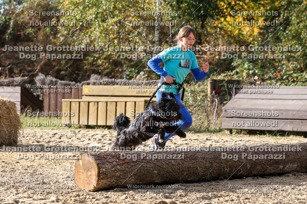 Dog Paparazzi - Strongdog 10-25-5897 | Dog Paparazzi Jeanette Grottendiek Fotografie & Videografie - Realisiert mit Pictrs.com