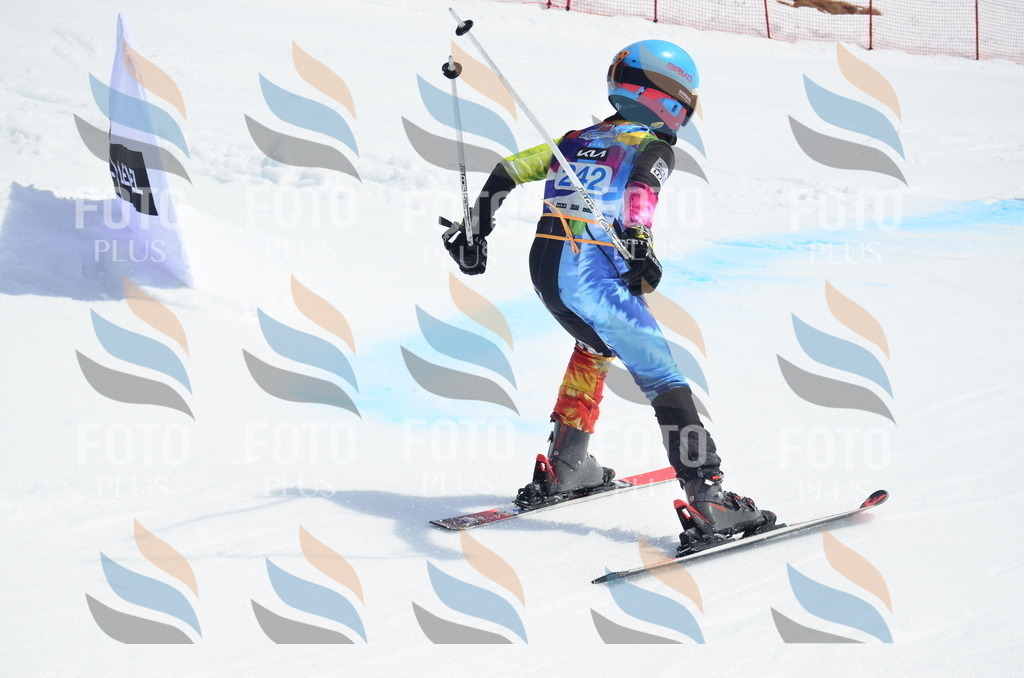 _ELE1757 | holidayphoto