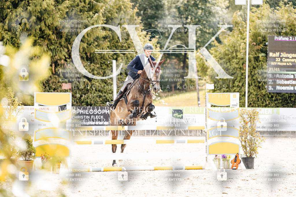 CK909214 | Turnierfotografie Pferdefotografie Trier Rheinland-Pfalz Pferdesport Reitsport Tierfotografie Sportfotografie Pferdevideo Pferdevideografie Equestrianvideography equestrianphotography  - Realisiert mit Pictrs.com