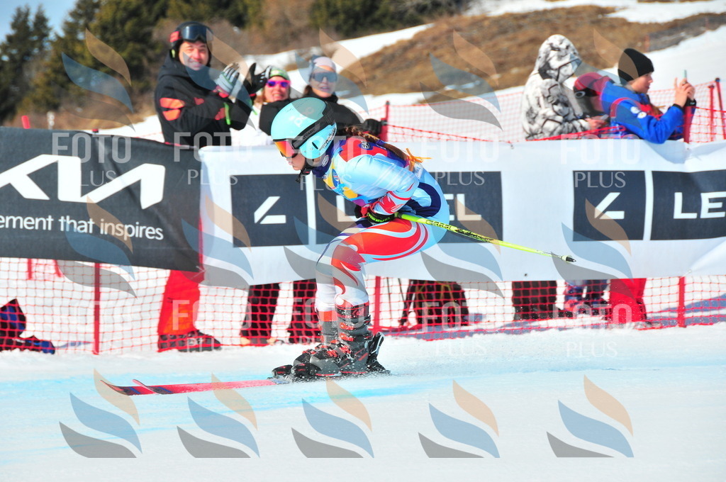 DSC_4762 | holidayphoto