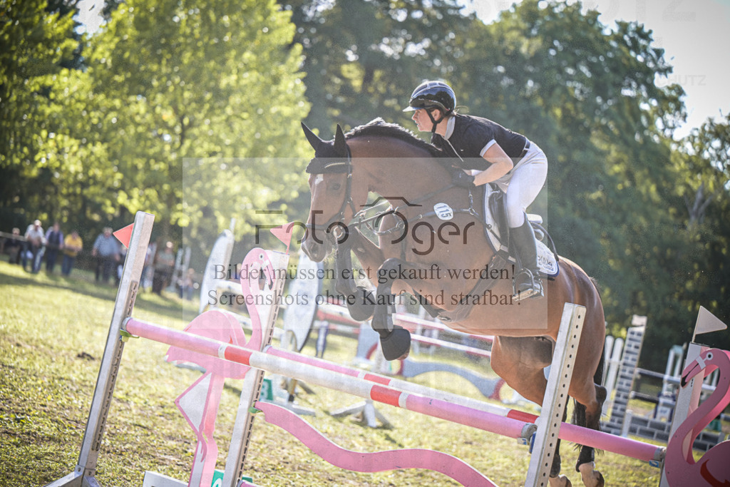 DOS_0398 | Entdecke hochwertige Reitturnierfotos von Foto Oger. Professionell, emotional und authentisch – jetzt Lieblingsmomente im Shop bestellen.Deutschlandweite Turnierfotografie. - Realisiert mit Pictrs.com