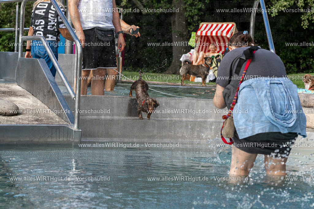 Hundeschwimmen_Volksbad_2026-allesWIRTHgut_Tierfotografie-2609061454-FAY07005 | Professionelle Tierfotografie in Mönchengladbach von Daniel Wirth (allesWIRTHgut). Liebevolle & natürliche Bilder von Hunden & Katzen für unvergessliche Erinnerungen.