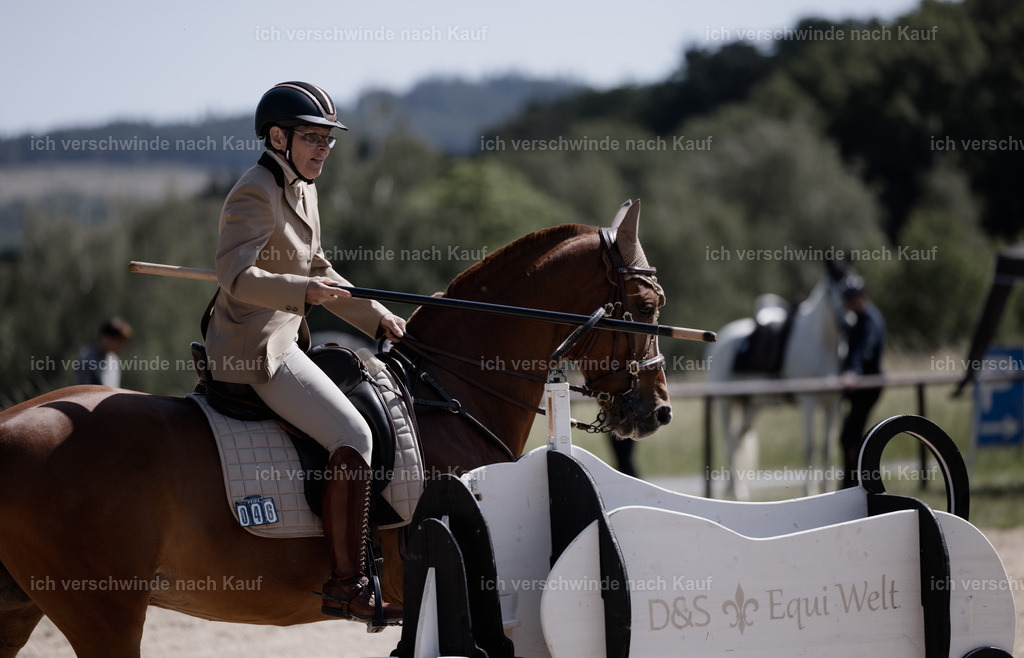 KlasseM_stoibphotography_C2_C9268.CR3 | working equitationturnier fotograf videograf stoibphotography marixx film working equitation deutschland reitsport turnierfotografie eventfotografie equestrian events