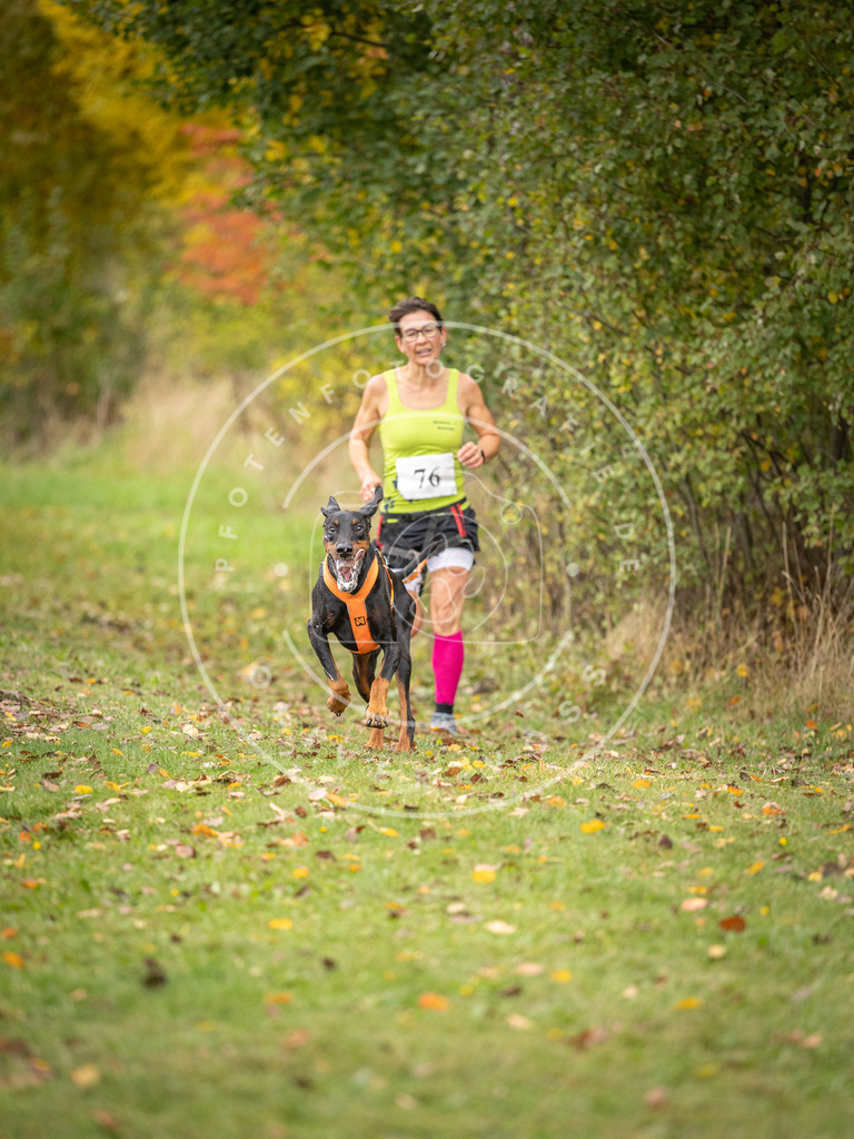 Pfotenfotografie_DV3A2946 | Hundefotografie, Tierfotograf, Pfotenfotografie, Fotoshooting Hund, Hunde Portrait, Hundesport, Hundeportraits, Heideshooting, Hunde, Sportfotograf, Hundefotograf, Turnierhundsport, THS,  - Realisiert mit Pictrs.com